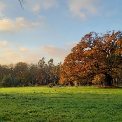 salle_de_reception_rounded_2