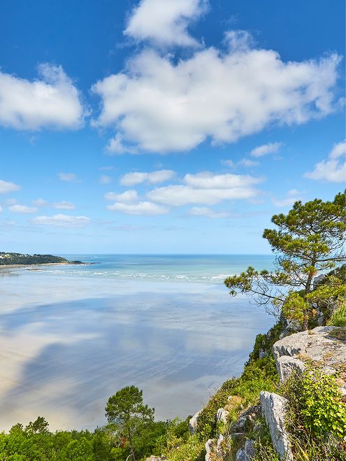 Cadre unique du domaine